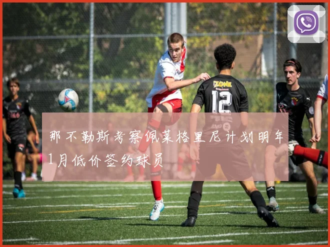 那不勒斯考察佩莱格里尼计划明年1月低价签约球员