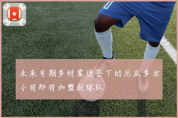 未来可期多特蒙德签下的厄瓜多尔小将即将加盟新球队
